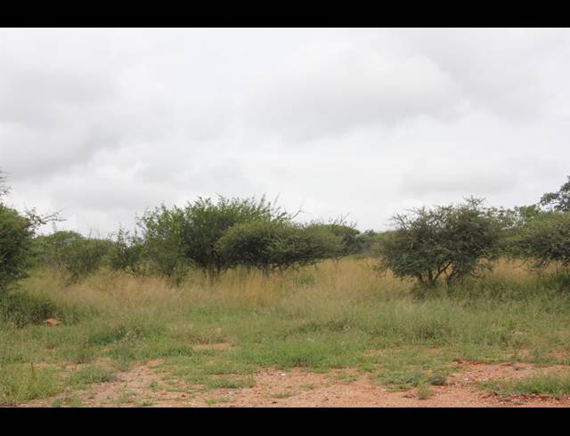 23HA VACANT LAND FOR SALE IN BENDOR